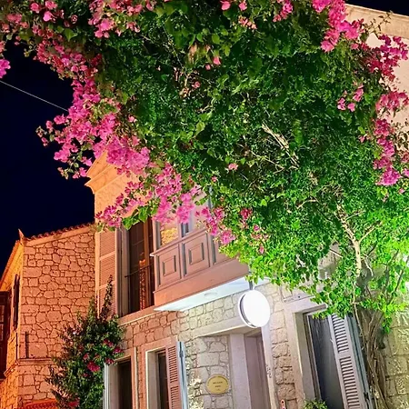 Hotel Zena Adults Only *